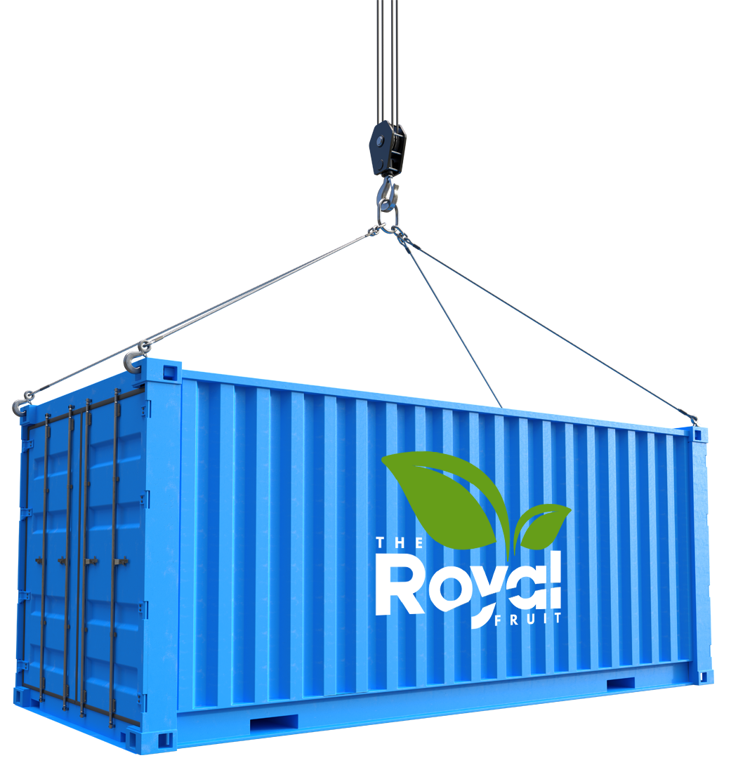 South African fruit & vegetable exporter